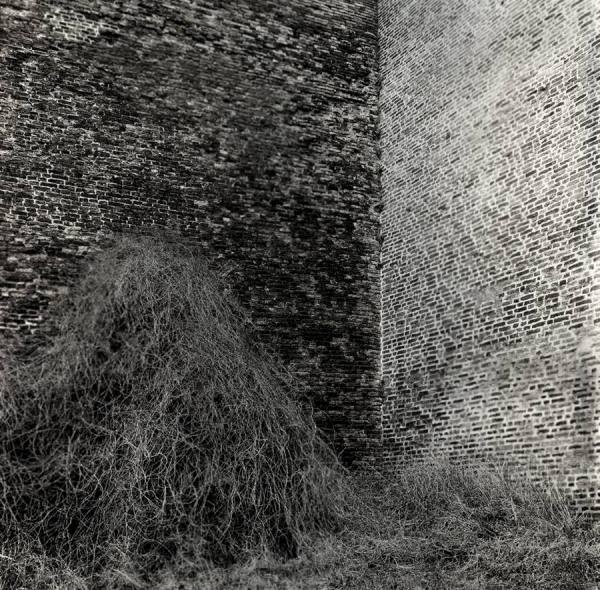 Photograph Jonny Paw Wall on One Eyeland